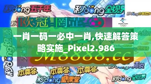 一肖一码一必中一肖,快速解答策略实施_Pixel2.986