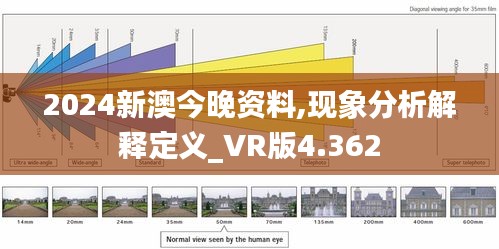 2024新澳今晚资料,现象分析解释定义_VR版4.362