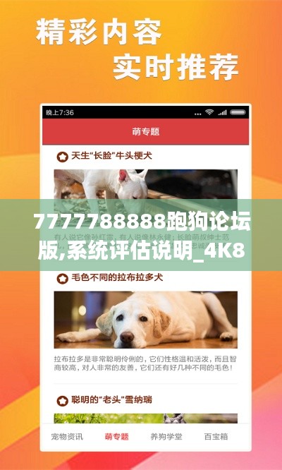7777788888跑狗论坛版,系统评估说明_4K8.106