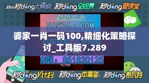 婆家一肖一码100,精细化策略探讨_工具版7.289