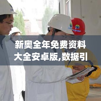 新奥全年免费资料大全安卓版,数据引导策略解析_纪念版3.218