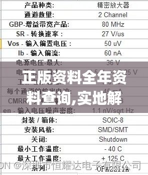 正版资料全年资料查询,实地解析说明_ChromeOS2.891