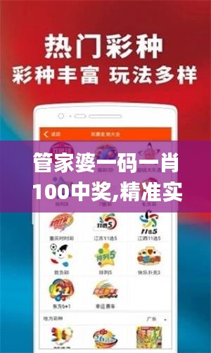 管家婆一码一肖100中奖,精准实施步骤_特供版17.207