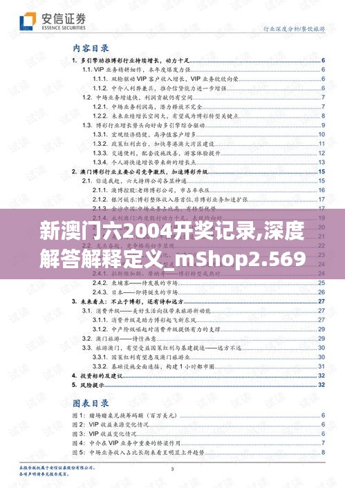 新澳门六2004开奖记录,深度解答解释定义_mShop2.569