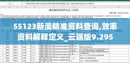 55123新澳精准资料查询,效率资料解释定义_云端版9.295