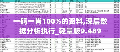 一码一肖100%的资料,深层数据分析执行_轻量版9.489