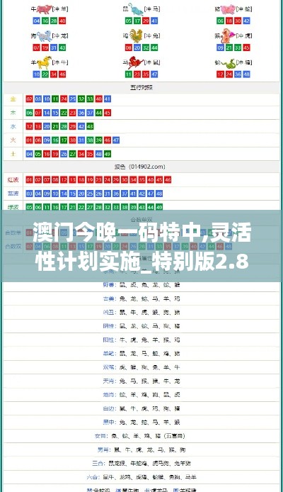 澳门今晚一码特中,灵活性计划实施_特别版2.819