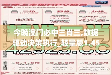 今晚澳门必中三肖三,数据驱动决策执行_轻量版1.459