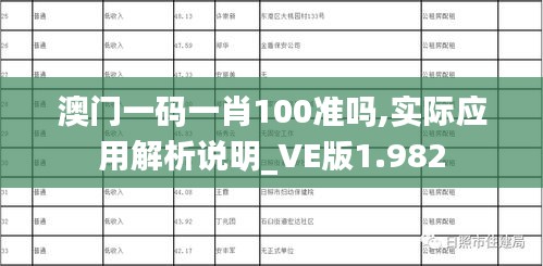 澳门一码一肖100准吗,实际应用解析说明_VE版1.982