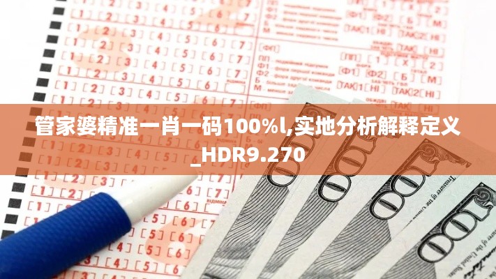 管家婆精准一肖一码100%l,实地分析解释定义_HDR9.270