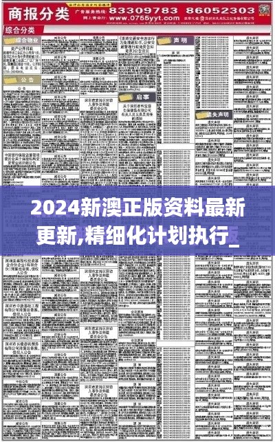 2024新澳正版资料最新更新,精细化计划执行_DX版11.276