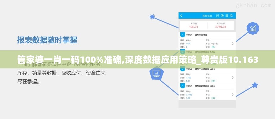 管家婆一肖一码100%准确,深度数据应用策略_尊贵版10.163