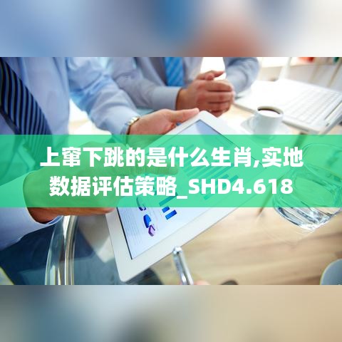 上窜下跳的是什么生肖,实地数据评估策略_SHD4.618