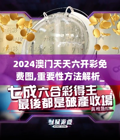 2024澳门天天六开彩免费图,重要性方法解析_Phablet9.234
