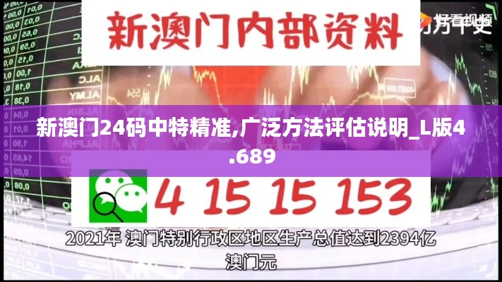 新澳门24码中特精准,广泛方法评估说明_L版4.689