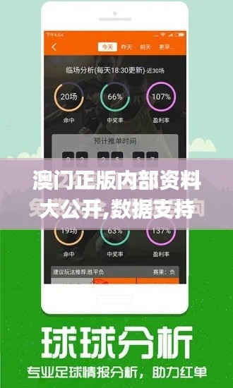 澳门正版内部资料大公开,数据支持方案解析_Elite4.412