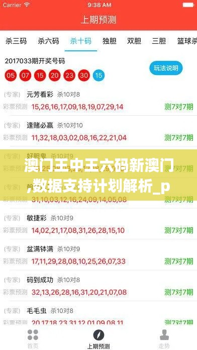 澳门王中王六码新澳门,数据支持计划解析_pack14.502
