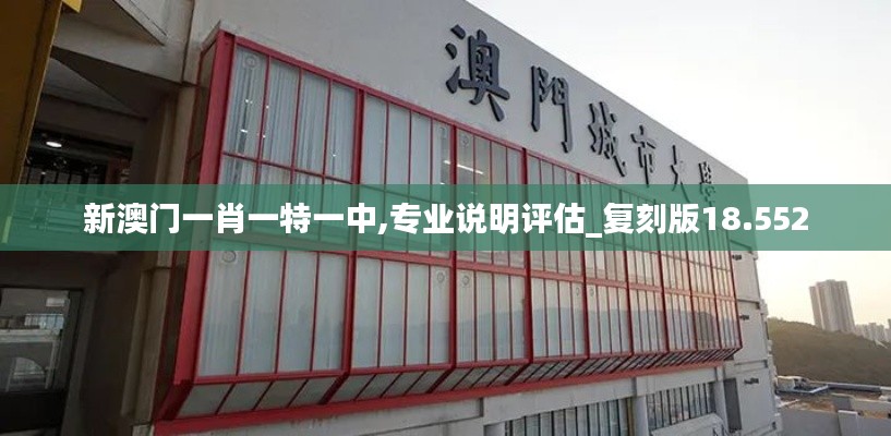新澳门一肖一特一中,专业说明评估_复刻版18.552