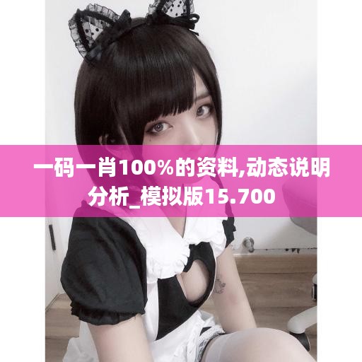 一码一肖100%的资料,动态说明分析_模拟版15.700