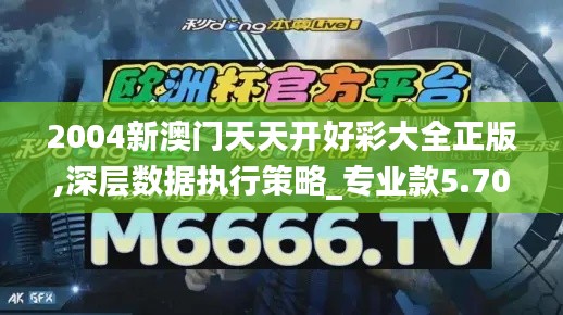 2004新澳门天天开好彩大全正版,深层数据执行策略_专业款5.706