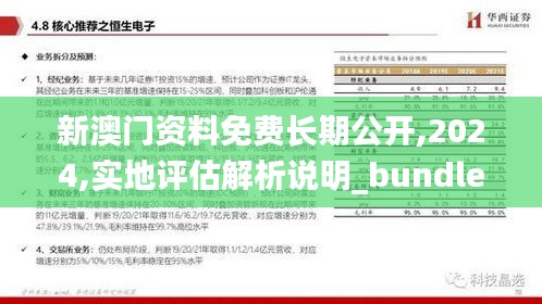 新澳门资料免费长期公开,2024,实地评估解析说明_bundle7.973