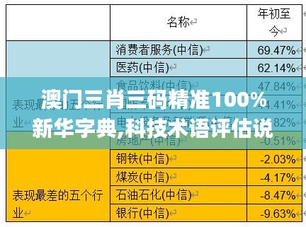 澳门三肖三码精准100%新华字典,科技术语评估说明_Deluxe10.501
