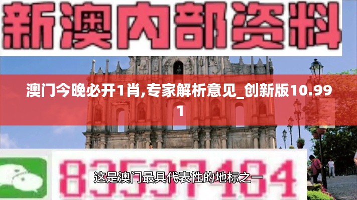 澳门今晚必开1肖,专家解析意见_创新版10.991