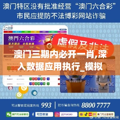 澳门三期内必开一肖,深入数据应用执行_模拟版7.114