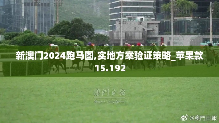 新澳门2024跑马图,实地方案验证策略_苹果款15.192