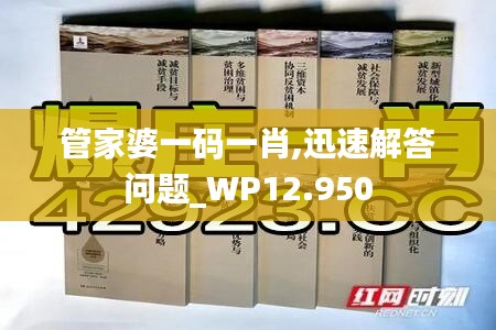 管家婆一码一肖,迅速解答问题_WP12.950