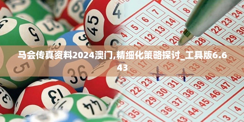 马会传真资料2024澳门,精细化策略探讨_工具版6.643