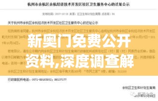 新奥门免费公开资料,深度调查解析说明_RX版1.749