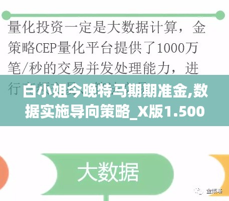 白小姐今晚特马期期准金,数据实施导向策略_X版1.500