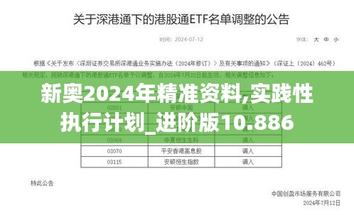 新奥2024年精准资料,实践性执行计划_进阶版10.886