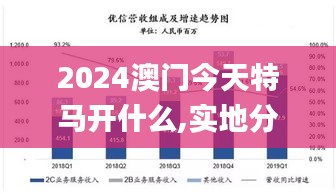 2024澳门今天特马开什么,实地分析考察数据_入门版6.742