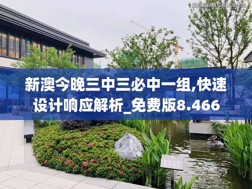 新澳今晚三中三必中一组,快速设计响应解析_免费版8.466