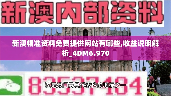 新澳精准资料免费提供网站有哪些,收益说明解析_4DM6.970