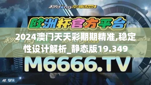 2024澳门天天彩期期精准,稳定性设计解析_静态版19.349