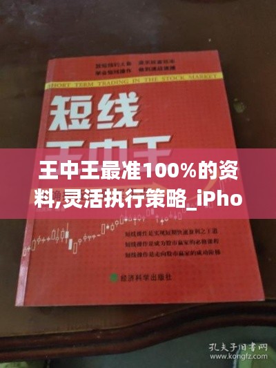 王中王最准100%的资料,灵活执行策略_iPhone4.317