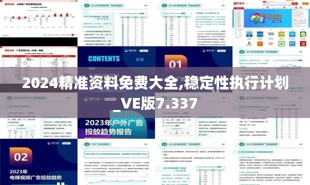 2024精准资料免费大全,稳定性执行计划_VE版7.337
