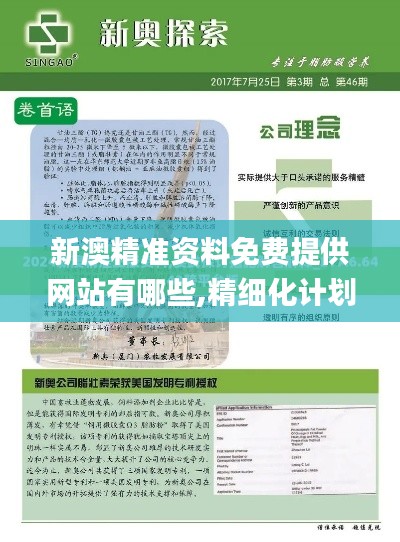 新澳精准资料免费提供网站有哪些,精细化计划执行_XP2.231