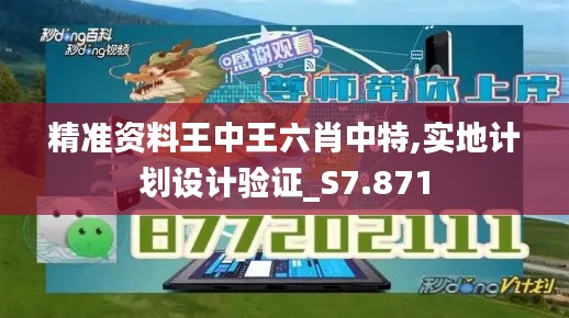 精准资料王中王六肖中特,实地计划设计验证_S7.871