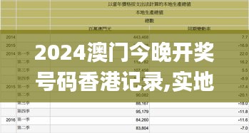2024澳门今晚开奖号码香港记录,实地数据验证设计_尊贵款5.829