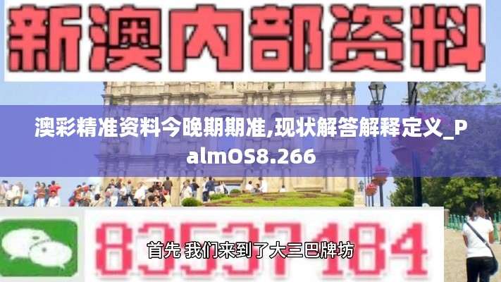 澳彩精准资料今晚期期准,现状解答解释定义_PalmOS8.266