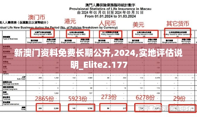 新澳门资料免费长期公开,2024,实地评估说明_Elite2.177
