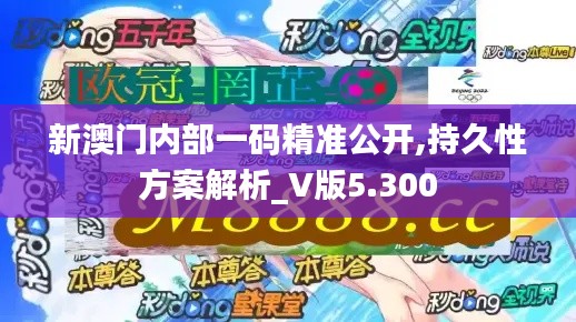新澳门内部一码精准公开,持久性方案解析_V版5.300